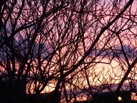 Night and Moods
