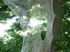 Jupiter Artland