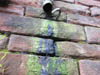 Decay and Aging