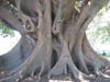 Decay and Aging