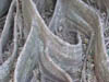 Decay and Aging