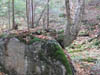 Decay and Aging