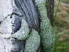 Decay and Aging