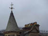 Roofs