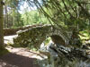bridges